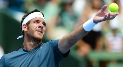 No.15 | Juan Martin Del Potro - $25,896,046