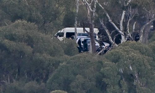 Police search a property at Porepunkah in the search for Dezi Freeman.
