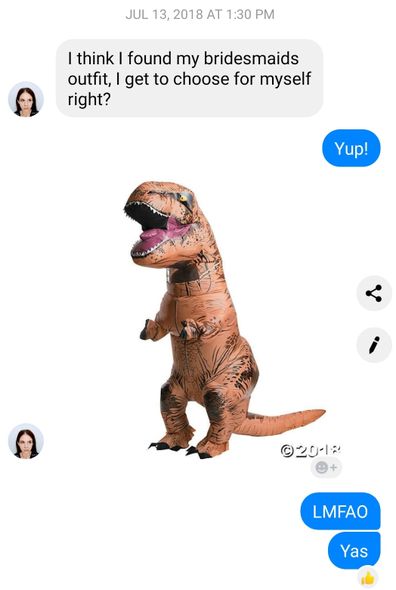 Maid of honour wears dinosaur costume to wedding in hilarious viral photo -  9Honey