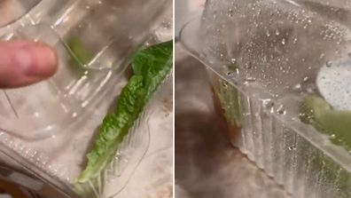 US singer Simon Curtis finds frog in box of lettuce