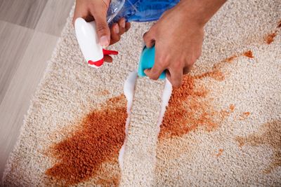 4. Carpet cleaning