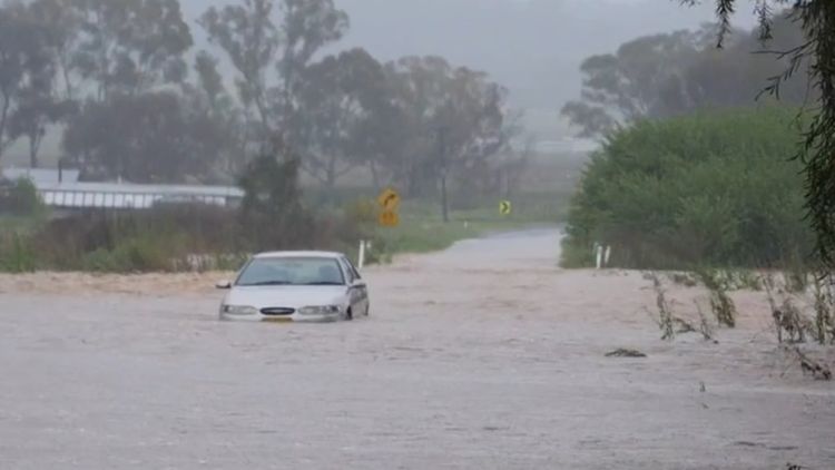 dubbo tourist park flooding