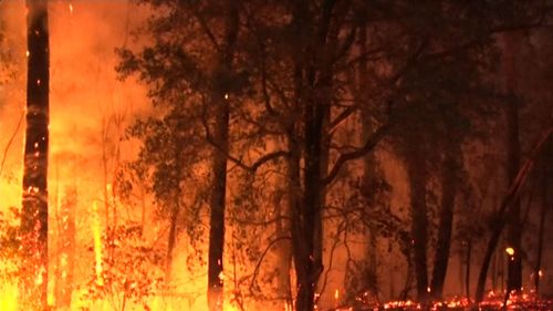 Fire crews spent last night fighting nearly 80 blazes across the state, including this raging bushfire at Milton on the NSW south coast.