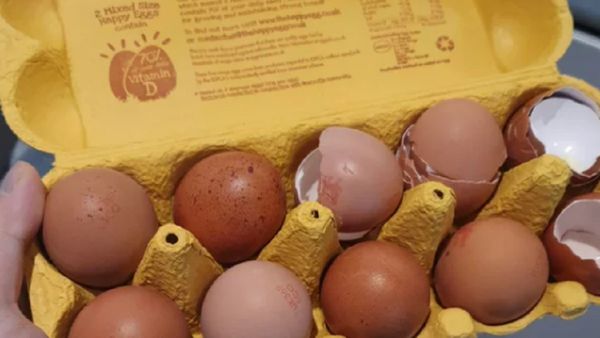 Egg shells in carton