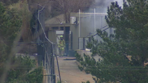 The zoo remained open during the fire. (9NEWS)