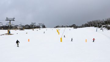 Skiers cut fresh tracks down a run at Perisher.