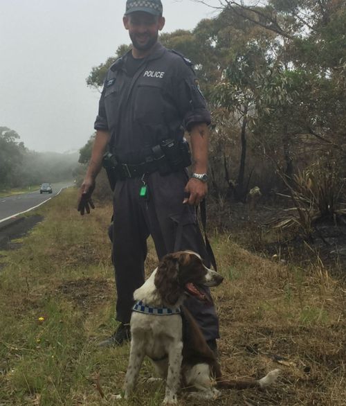 Senior Constable David Jarnet and Chloe prepare to plunge into the burnt out woodland as part of the training exercise. (9NEWS / Tyron Butson)