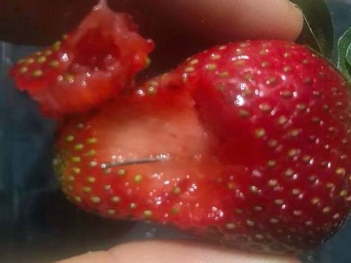 Strawberries were discarded en masse when needles were found lodged inside in September. 