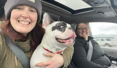 Ralphie, the 'demon dog' of Niagara, has finally been adopted