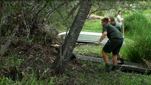 The lasso is dropped over the alligator's powerful jaw. (Image: Tim Faulkner/Australian Reptile Park)