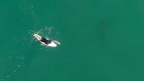 A UAV filmed as Matt Wilkinson was stalked by a shark