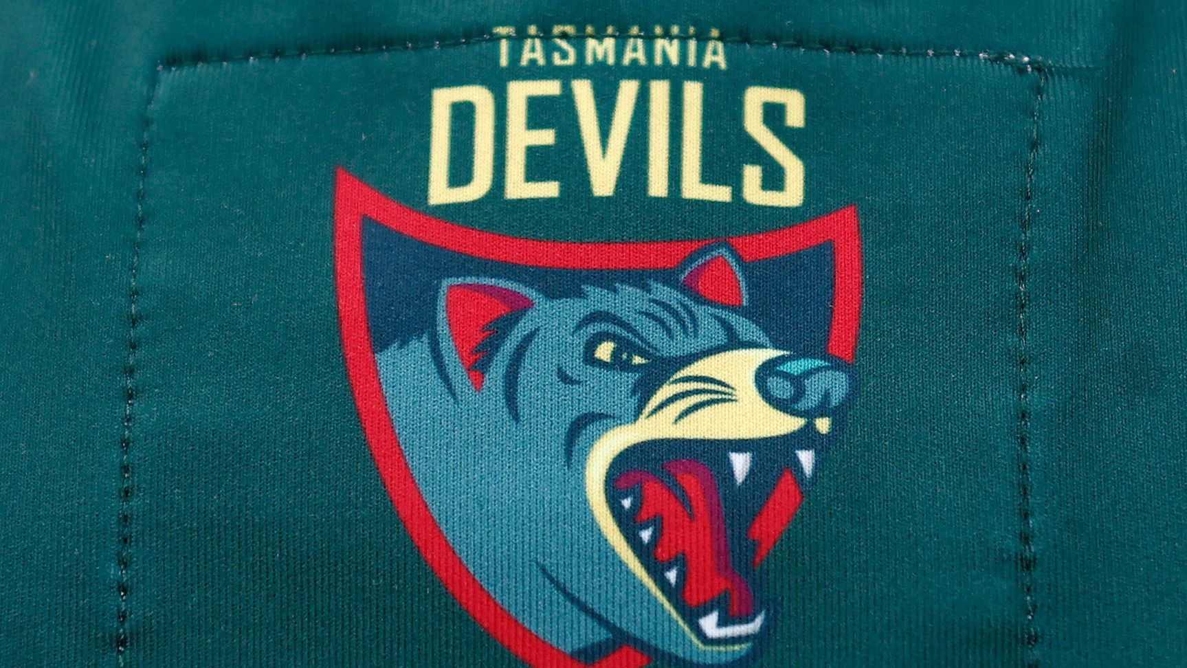 Tasmanian AFL team