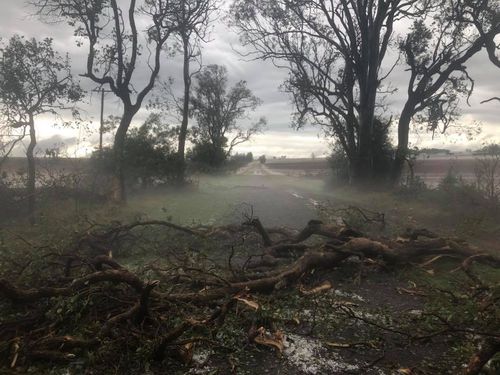 The SES have been working throughout the night with up to 50ml of forecast rain today expected to hamper their efforts. 