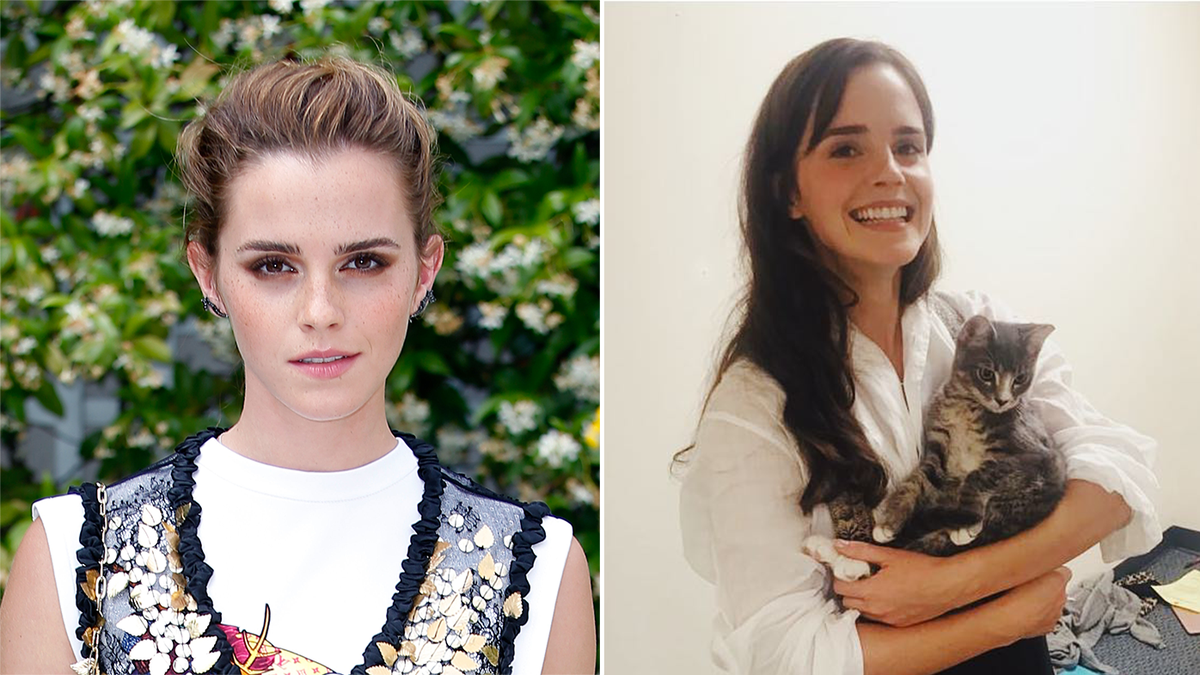 Harry Potter Star Emma Watson S Rep Clears Up Internet Rumours She S Retiring From Acting 9celebrity