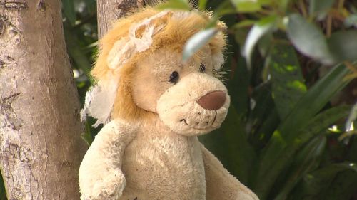 A Gold Coast couple have used soft toys to deter bush turkeys from their garden. (9NEWS)