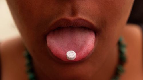 Reports pill testing will take place at Canberra music festivals