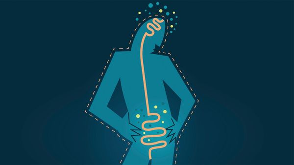 Gut brain connection