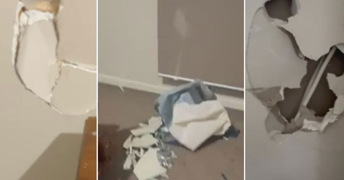 Teenagers destroy Melbourne rental in wild party