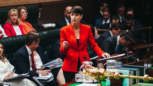 Minister for Family and Communities Kate Washington said two DCJ workers had been suspended, pending misconduct processes and investigations.