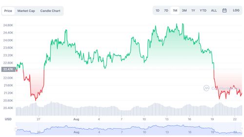 Graph tracking price of Bitcoin over the past month.