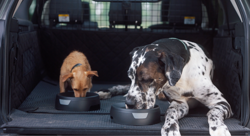 The Land Rover Pet Pack has spill-proof water bowls to keep your pets hydrated while in the car.