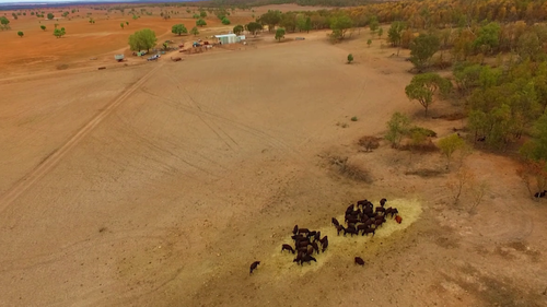 Families struggle to cope throughout the drought which has ravaged the district of Trundle. 