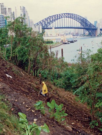 Wendy Whiteley clearing rubbish in her garden at Lavender Bay in the mid '90s.