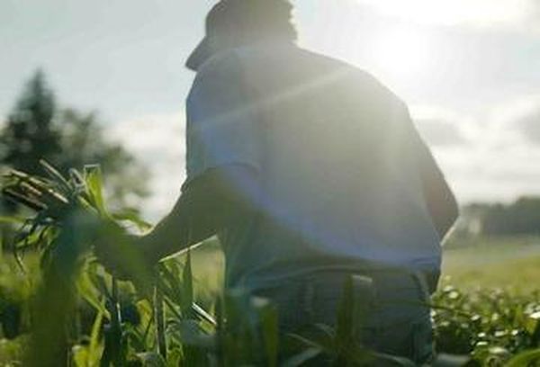 Wasted! The Story of Food Waste