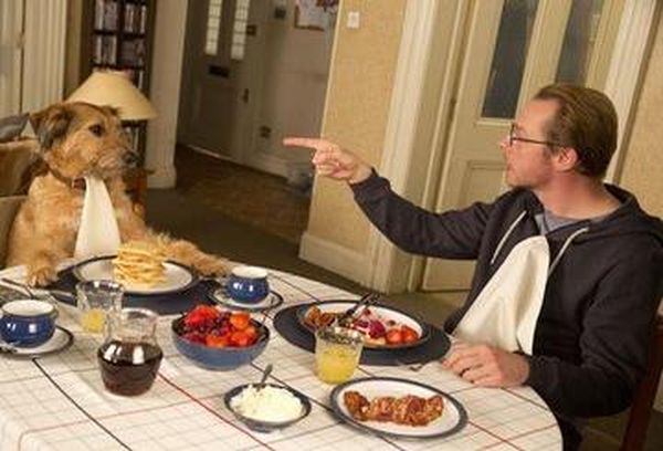 Absolutely Anything