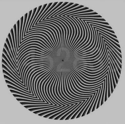 optical illusion pictures of people