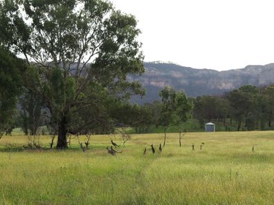 Wolgan Valley property Barton attracts unprecedented interest. 2007 Wolgan Road, Wolgan Valley NSW. 