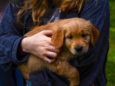Stock image of a woman holding a puppy.