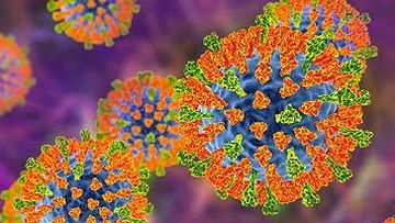 Illustration of measles virus (Getty)