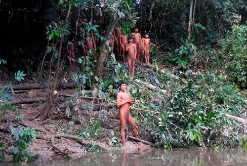 A high-risk expedition in the Amazon has reunited the isolated Korubo group with relatives and eased tensions with a rival tribe near the border with Peru.