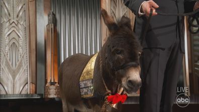 Jimmy Kimmel with Jenny the donkey during the 2023 Oscars.