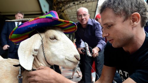 Gary and Jimbo at Sydney's Downing Centre in 2013. (AAP)