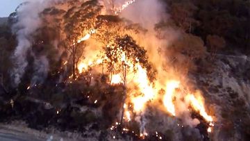 The fires that destroyed more than 180 Blue Mountains homes.