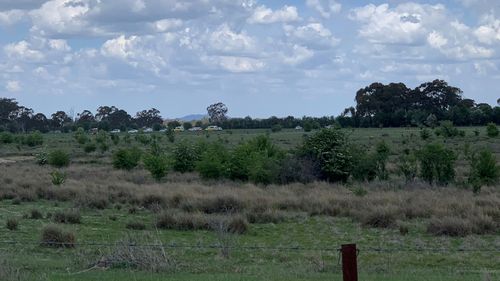 Emergency crews attending the scene of the crash in a Spring Hill paddock.