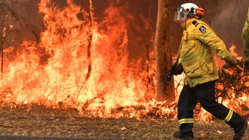 Rural Fire Service (RFS) firefighters are seen by containment lines at the Three Mile Fire in the suburb of Kulnura on December 10, 2019 on the Central Coast, Australia.  (Photo by Sam Mooy/Getty Images)