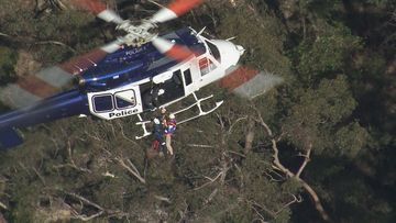 Two hikers have been winched to safety in the Blue Mountains.