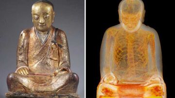 <p _tmplitem="7">CT scans of a Buddha-like statue estimated to have originated in the 11th or 12th century have revealed a mummified monk inside.</p><p _tmplitem="7">
The Chinese statue, made of gold-painted papier-mâché, was suspected to contain human remains, but researchers were surprised to find that the organs had been removed.</p><p _tmplitem="7">
The skeleton inside is believed to be that of Liuquan, a Buddhist master who lived around 1100 AD and belonged to the Chinese Meditation School, according to expert Erik Bruijin, who led the study.</p><p _tmplitem="7">
Drents Museum carried out the studies at Meander Medical Centre in the Netherlands, with gastrointestinal specialist Dr Raynald Vermeijden taking samples of material from the abdominal and thoracic cavities. </p><p _tmplitem="7">
Rolls of paper with as-yet-undeciphered Chinese characters written on them were discovered where the organs should have been.</p><p _tmplitem="7">
Experts are now speculating that Liuquan may have self-mummified, a process that saw monks undergo some 2000 days of preparation before allowing themselves to be entombed alive.</p>
