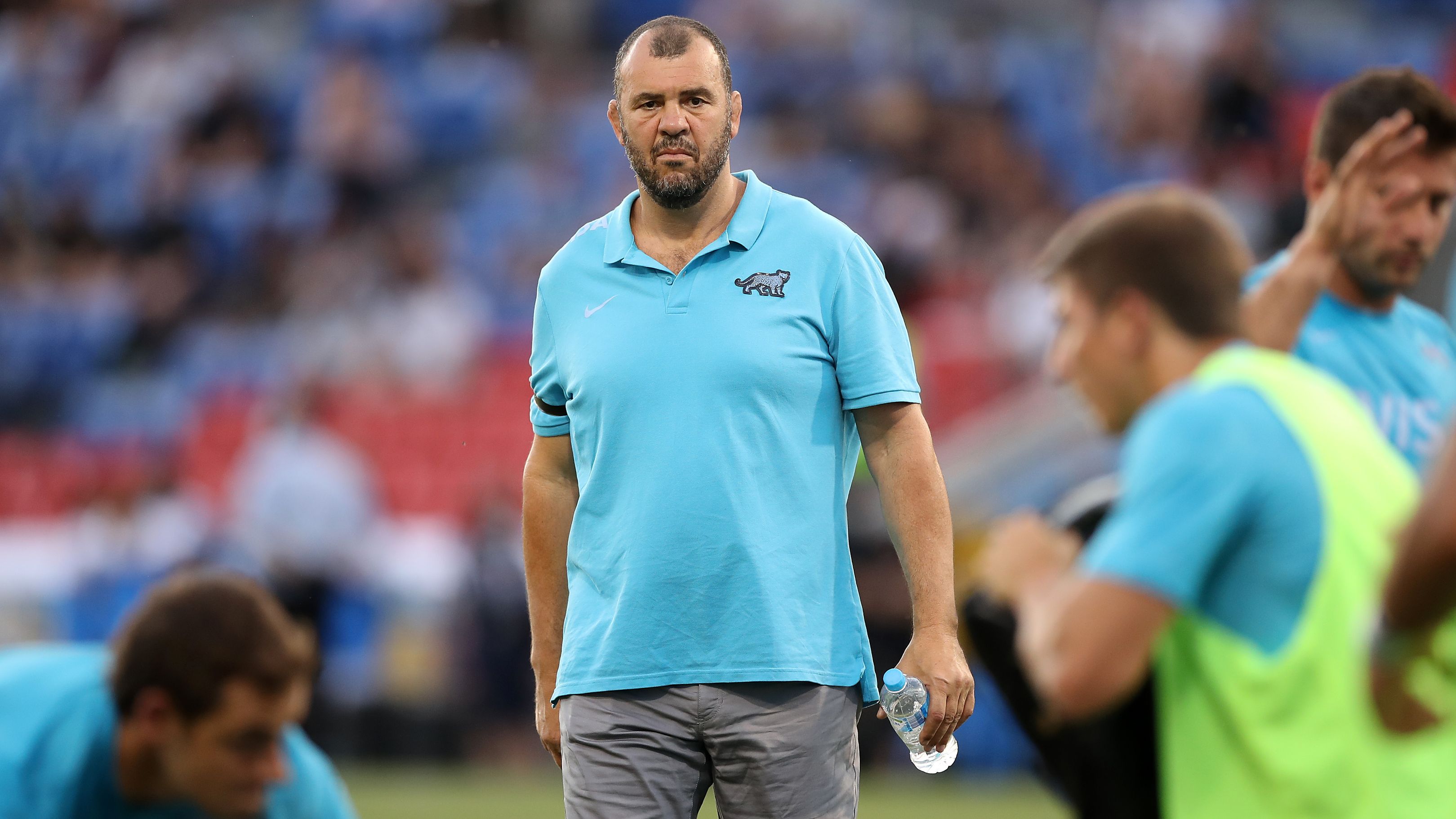 Michael Cheika looks on prior to the Tri Nations match.