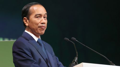 President Joko Widodo first announced the capital would be relocated in 2019