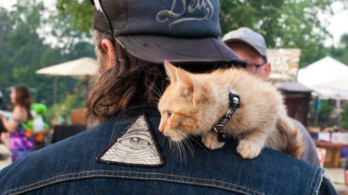 Biker finds kitten on roadside who is ‘so chill’ he rides in his vest