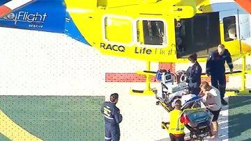 A young boy has been airlifted to hospital after a dog attack.