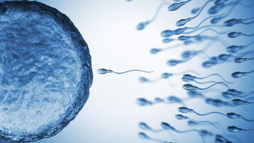 Male sperm counts and sperm quality is declining globally.