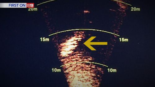 A sonar image of a shark, as seen by the divers on a recent operation. (9NEWS)