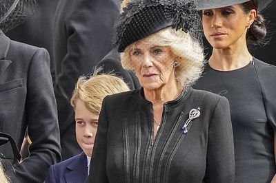 Camilla, the Queen Consort's brooch
