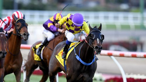 Jockey Chris Caserta riding Jolie's Cafe, leads the field to win race 3 the 1600m Ellar Classic Handicap, during the Ladbrokes Friday Night Lights at Moonee Valley Racecourse in Melbourne. (AAP)