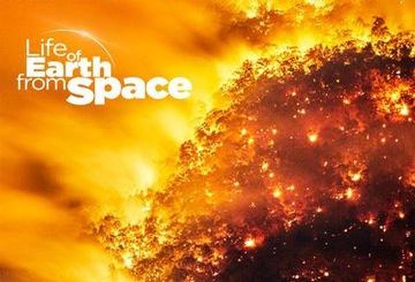 Life of Earth From Space